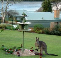 Gipsy Point Lakeside - South Australia Travel