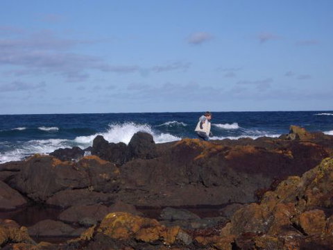 Walkerville South Accommodation - South Australia Travel 1