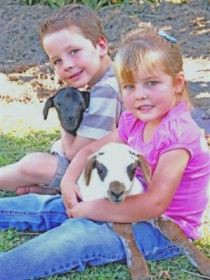 Sarina Motor Inn - South Australia Travel 0