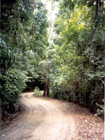 Mt Glorious Getaway Cottages And Conference Centre - South Australia Travel 0