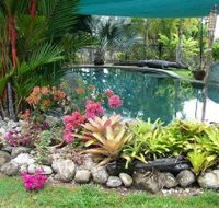 Daintree Wild Bed And Breakfast