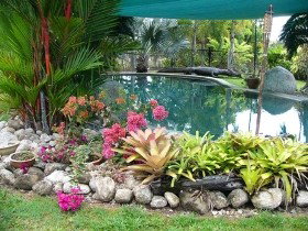 Daintree Wild Bed And Breakfast - South Australia Travel 0