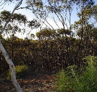 Lions Dryandra Woodlands Village - South Australia Travel