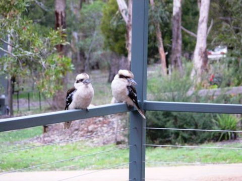 The Ripley Family Holiday Retreat - South Australia Travel 9