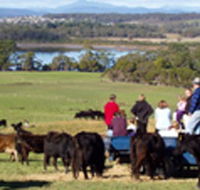 Bonny Brae - South Australia Travel