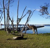 Waterfront Retreat At Wattle Point - South Australia Travel