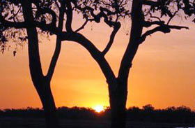 Coodardie Station Stay - South Australia Travel 0