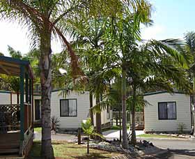 Port Macquarie Holiday Cabins - South Australia Travel 0