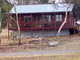 Ivybrook Vineyard Cottage - South Australia Travel 0