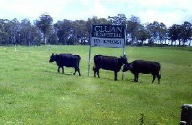 Cluan Homestead - South Australia Travel 0
