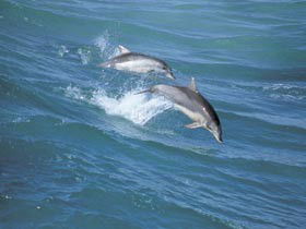 Seachange - South Australia Travel 0