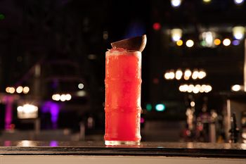 Ovolo Woolloomooloo - South Australia Travel 12