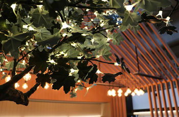 Ovolo Woolloomooloo - South Australia Travel 25