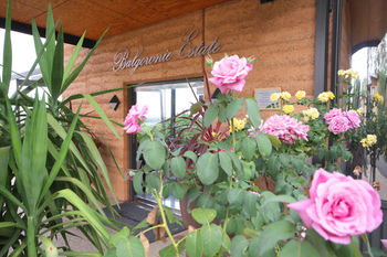 Balgownie Estate Vineyard & Spa - South Australia Travel 2