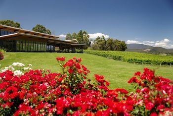 Balgownie Estate Vineyard & Spa - South Australia Travel 34