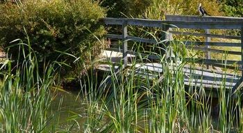 Potters Hotel Brewery Resort - South Australia Travel 42