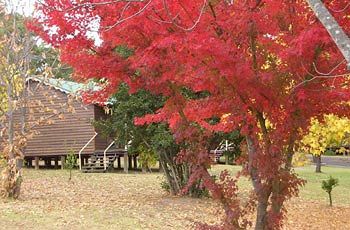 Madison's Mountain Retreat - South Australia Travel 1