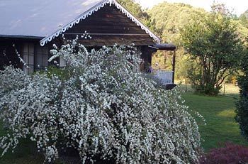 Madison's Mountain Retreat - South Australia Travel 3