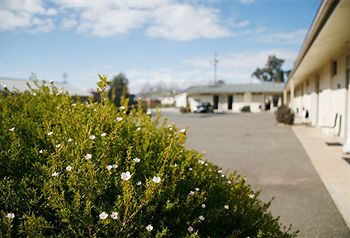 Merivale Motel - South Australia Travel 1