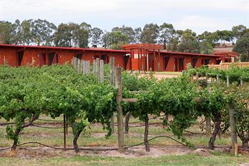 De'Vine Escape - South Australia Travel 4