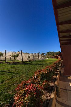 De'Vine Escape - South Australia Travel 5