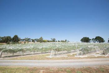 De'Vine Escape - South Australia Travel 12