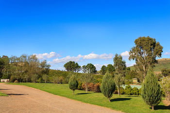De'Vine Escape - South Australia Travel 15