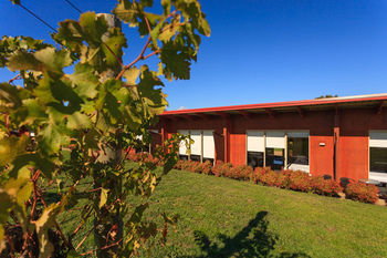 De'Vine Escape - South Australia Travel 18