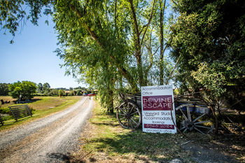 De'Vine Escape - South Australia Travel 22