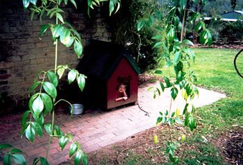 Kurrajong Trails And Cottages - South Australia Travel 2