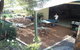 Kurrajong Trails And Cottages - thumb 7
