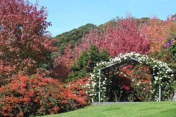 Terrigal Hinterland Bed And Breakfast - South Australia Travel 11