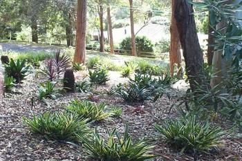 Terrigal Hinterland Bed And Breakfast - South Australia Travel 20