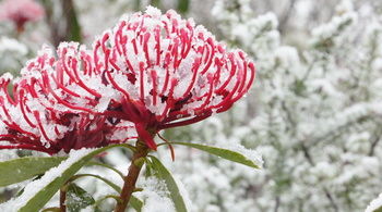 Valley Of The Waters B&B - South Australia Travel 12