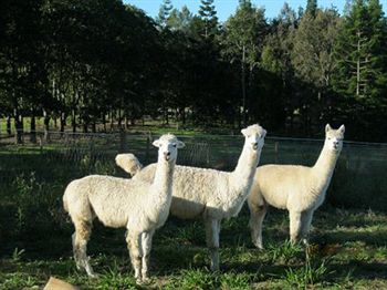 Beerwah QLD South Australia Travel