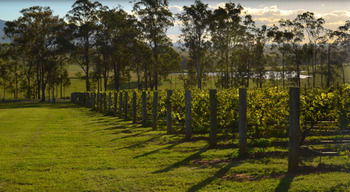 H Boutique Hotel - South Australia Travel 34