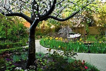 Elizabethan Lodge - South Australia Travel 1