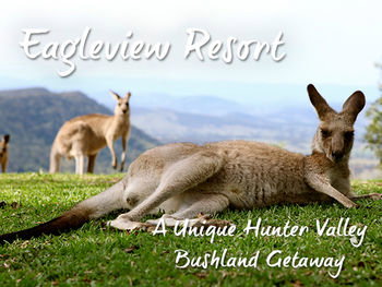 Eagleview Resort - South Australia Travel 45