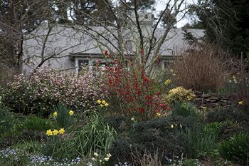 Parklands Country Gardens And Lodges - South Australia Travel 12