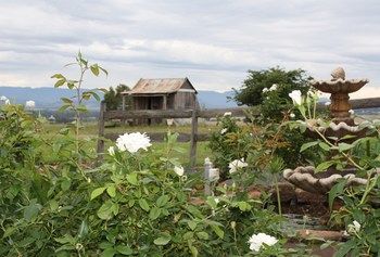 Strathearn Park Lodge - South Australia Travel 16