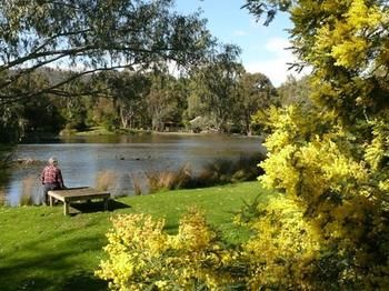 The Burrow At Wombat Bend - South Australia Travel 0