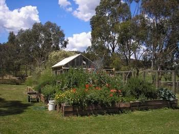The Burrow At Wombat Bend - South Australia Travel 4