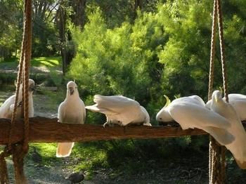 The Burrow At Wombat Bend - South Australia Travel 5