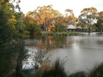 The Burrow At Wombat Bend - South Australia Travel 9