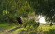 The Burrow At Wombat Bend - thumb 18