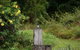 Kingfishers Manor @ Noosa - thumb 32