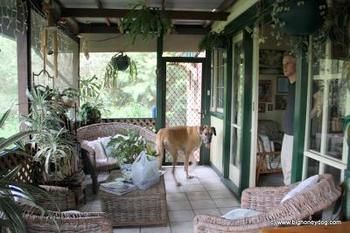 Hamilton Heritage B&B - South Australia Travel 2