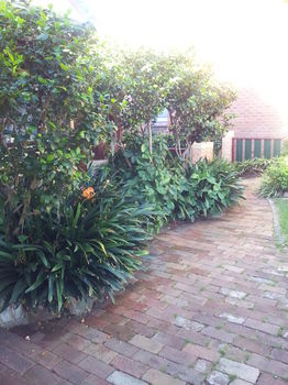 Hamilton Heritage B&B - South Australia Travel 14