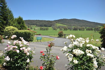 Langbrook Estate Cottages - South Australia Travel 15