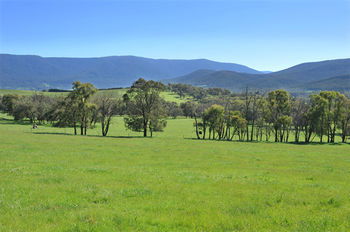 Langbrook Estate Cottages - South Australia Travel 16